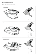 Ядовитые змеи мира — фото, картинка — 5