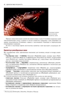 Ядовитые змеи мира — фото, картинка — 7