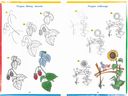 Учебник рисования для детей — фото, картинка — 6