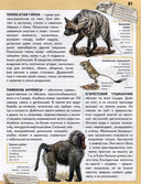 Животные. Панорама нужных знаний — фото, картинка — 3