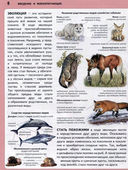 Животные. Панорама нужных знаний — фото, картинка — 2