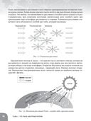 Занимательная физика. Электромагнетизм — фото, картинка — 18