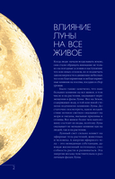 Лунный посевной календарь на 2025 год в самых понятных и удобных цветных таблицах — фото, картинка — 2