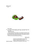 Лесные герои. Куда ведут бабочки — фото, картинка — 3