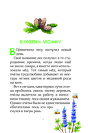 Лесные герои. Куда ведут бабочки — фото, картинка — 4