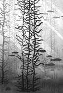 Миссия дикого робота — фото, картинка — 5