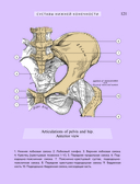 Популярный атлас анатомии человека. 200 классических иллюстраций из 