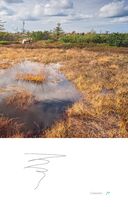 Дикая Россия. Альбом неизведанных мест нашей страны — фото, картинка — 28