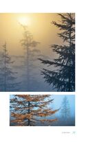 Дикая Россия. Альбом неизведанных мест нашей страны — фото, картинка — 30