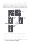 Transcend. Девять шагов на пути к вечной жизни — фото, картинка — 27