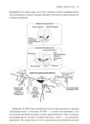 Transcend. Девять шагов на пути к вечной жизни — фото, картинка — 29