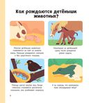 Энциклопедия животных для малышей — фото, картинка — 6