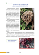 100 растений и грибов Беларуси — фото, картинка — 13