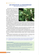 100 растений и грибов Беларуси — фото, картинка — 4