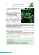 100 растений и грибов Беларуси — фото, картинка — 7