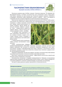 100 растений и грибов Беларуси — фото, картинка — 8