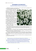 100 растений и грибов Беларуси — фото, картинка — 9