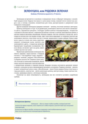 100 растений и грибов Беларуси — фото, картинка — 10