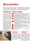 Собаки — фото, картинка — 13