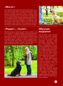 Собаки — фото, картинка — 14