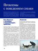 Собаки — фото, картинка — 15