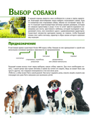 Собаки — фото, картинка — 3