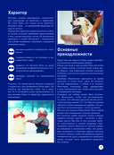 Собаки — фото, картинка — 6