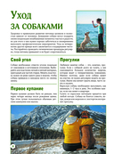 Собаки — фото, картинка — 7