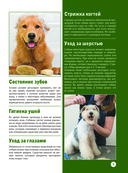 Собаки — фото, картинка — 8