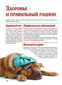 Собаки — фото, картинка — 9