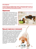 Собаки — фото, картинка — 10