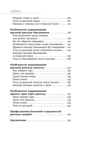 Рассадоводство. Первые шаги к здоровому урожаю — фото, картинка — 14