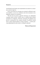 Ранний урожай в умной теплице — фото, картинка — 4