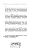 Ранний урожай в умной теплице — фото, картинка — 9