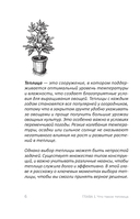 Теплица без ошибок. Все, что нужно знать, чтобы получить ранний и богатый урожай — фото, картинка — 6