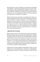 Теплица без ошибок. Все, что нужно знать, чтобы получить ранний и богатый урожай — фото, картинка — 10