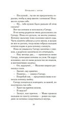 Прощание с котом — фото, картинка — 16