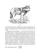 Собака. Полное руководство по дрессировке и уходу — фото, картинка — 11