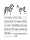 Собака. Полное руководство по дрессировке и уходу — фото, картинка — 9