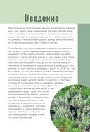 Роскошные хвойные. Виды, посадка, уход — фото, картинка — 2