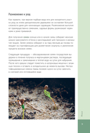 Роскошные хвойные. Виды, посадка, уход — фото, картинка — 8