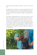 Роскошные хвойные. Виды, посадка, уход — фото, картинка — 9