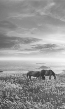 Убежище — фото, картинка — 6