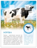 Кто живёт в деревне? — фото, картинка — 3