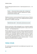 Зубки и зубы: всё о молочных и постоянных зубах ребенка. Советы детского стоматолога — фото, картинка — 6