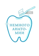 Зубки и зубы: всё о молочных и постоянных зубах ребенка. Советы детского стоматолога — фото, картинка — 3
