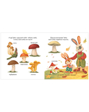 Зайка и золотая осень — фото, картинка — 14