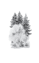 Стихи и рассказы о Родине — фото, картинка — 9