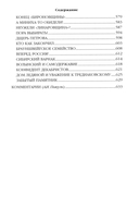 Слово и дело. Книга 2 — фото, картинка — 4