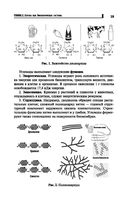 Репетитор по биологии для старшеклассников и поступающих в вузы — фото, картинка — 19
